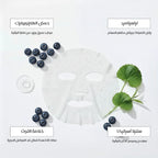 Blueberry Sheet Mask