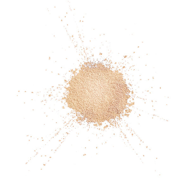 Make Up Forever Star Lit Powder