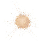 Make Up Forever Star Lit Powder