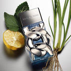 Michael Kors Pour Homme Edp 100ml Spray