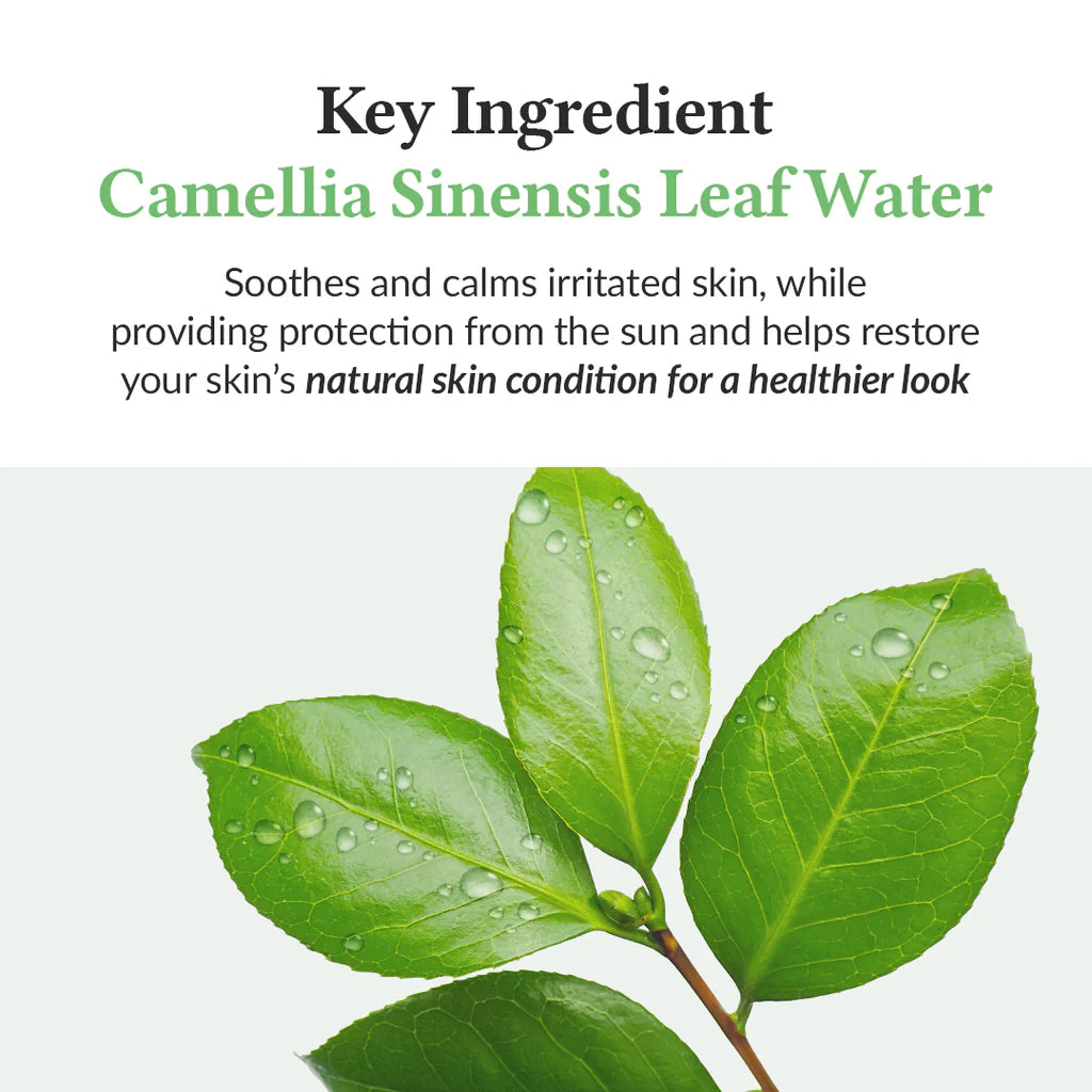 د. ألثيا واقي الشمس بخلاصة الشاي الأخضر المنعش 45 مل