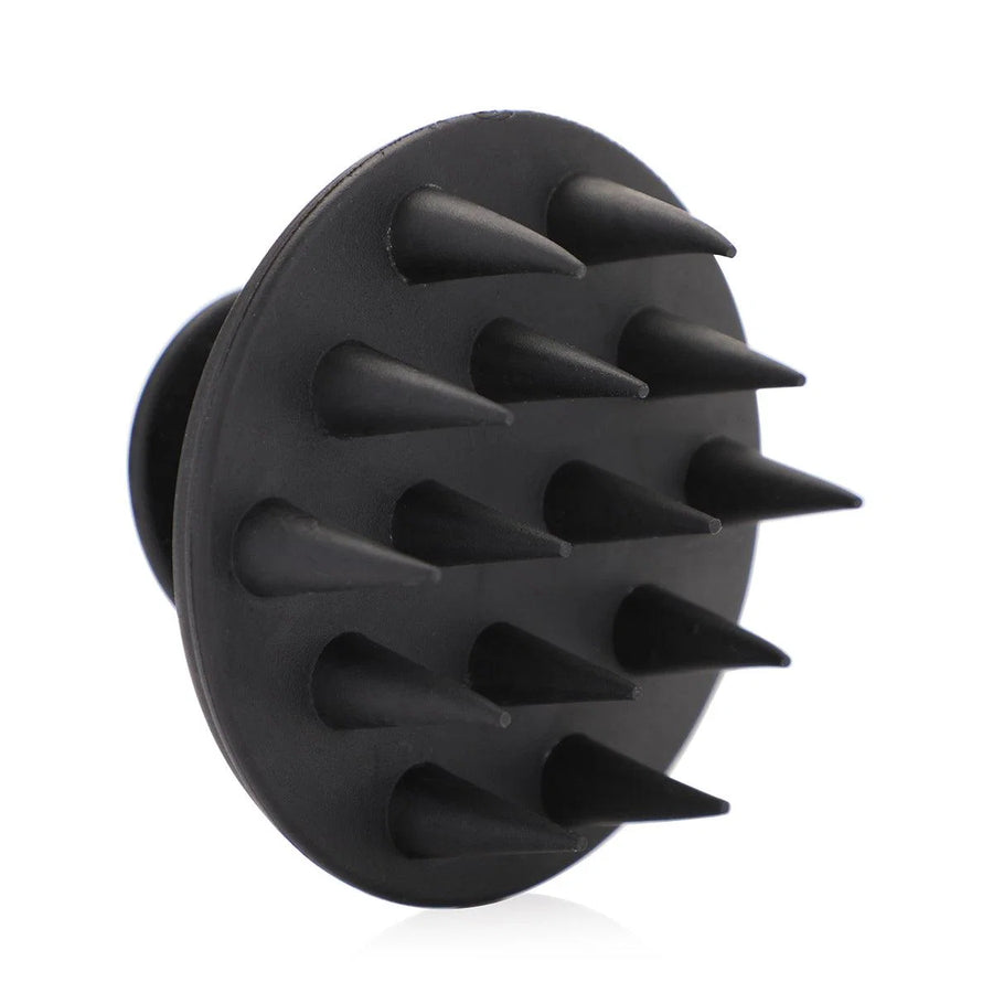 got arya shampoo brush black