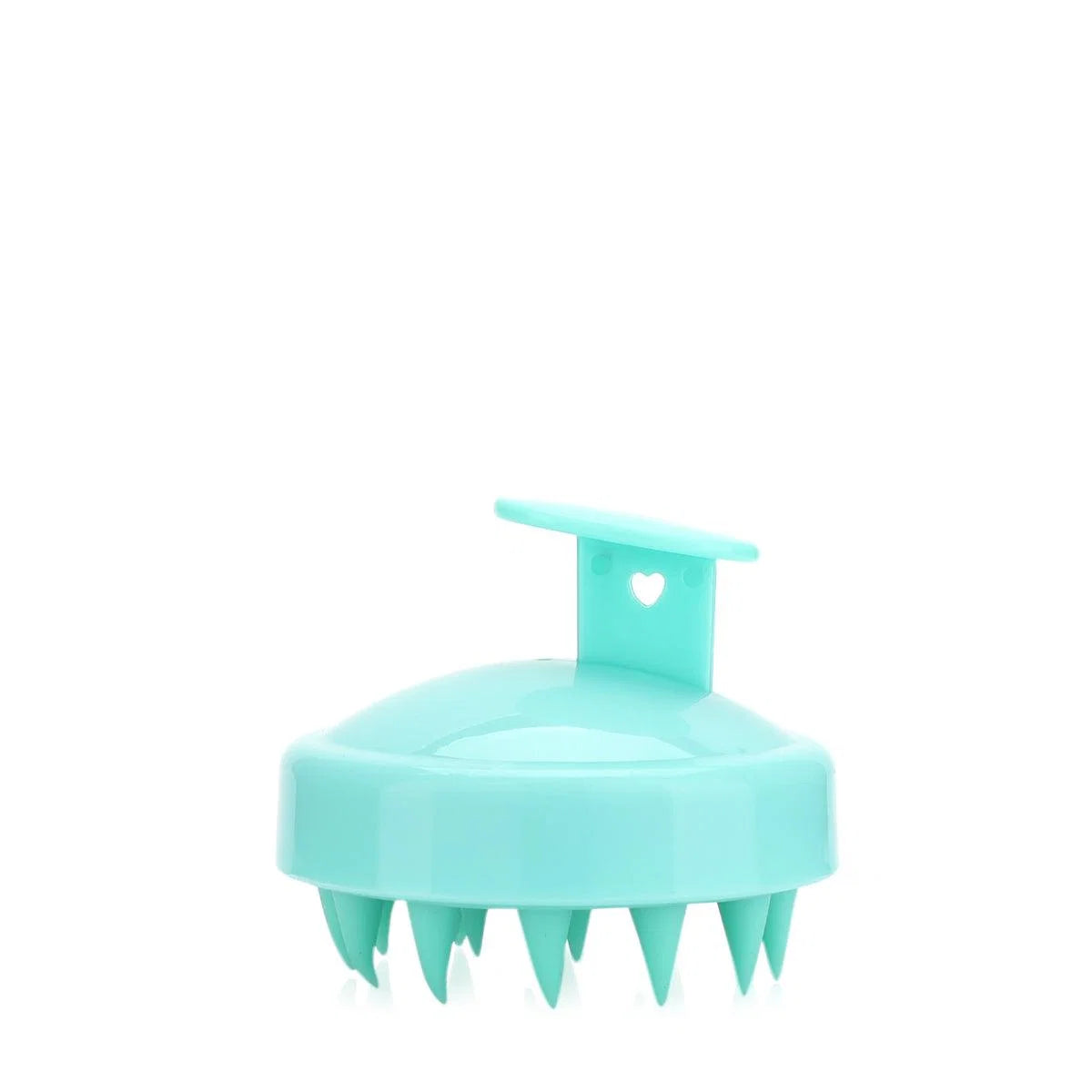 got arya shampoo brush pure green