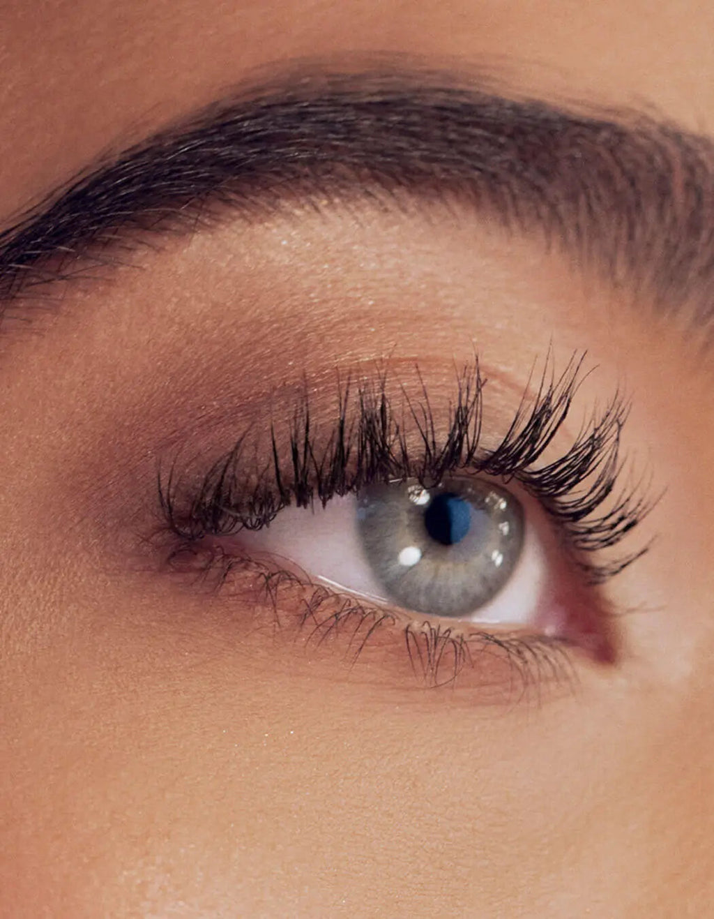 Revitalash Tools Collection Signature Eyelash Curler - product image 3